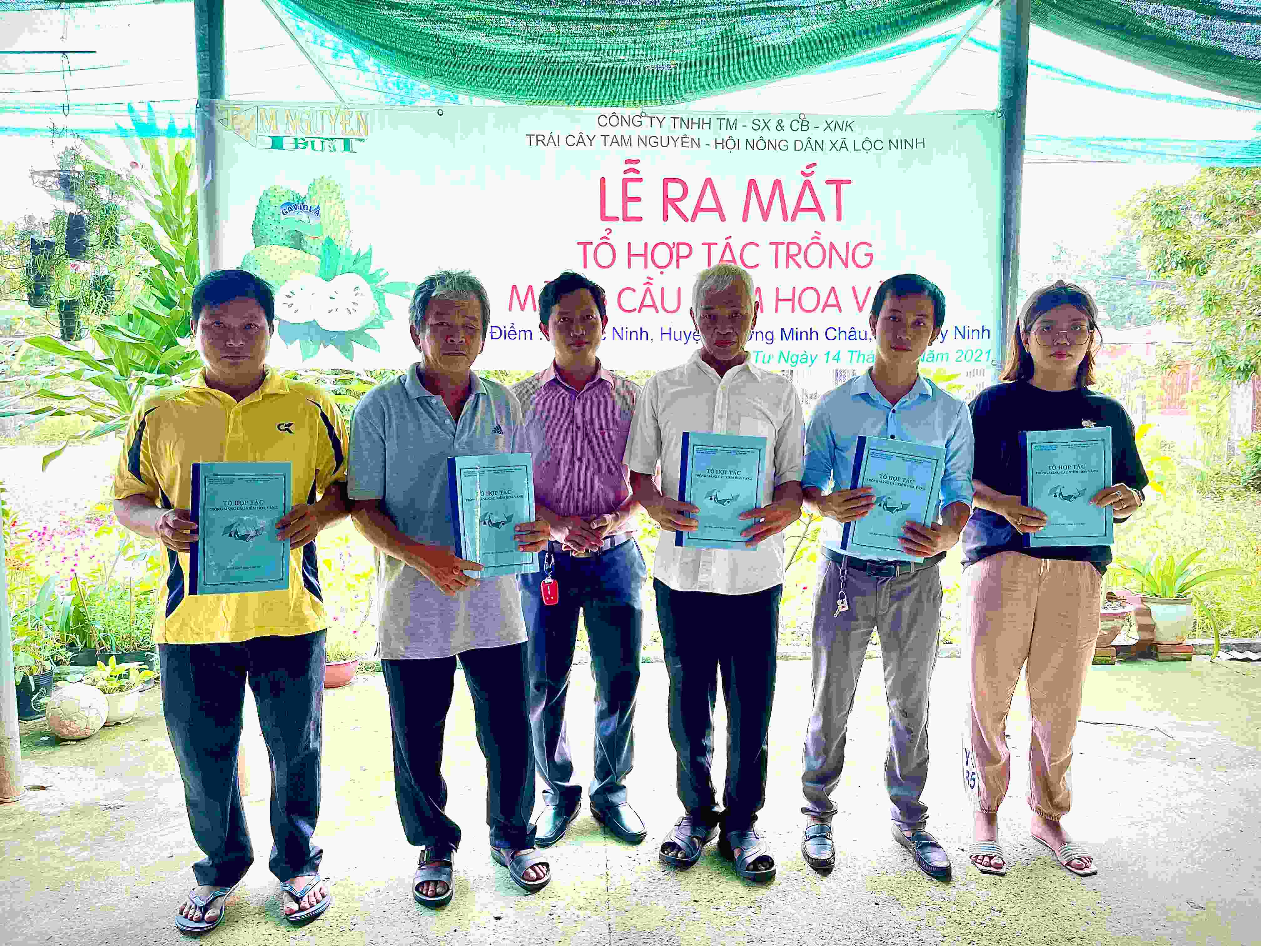 Hội Nông dân xã Lộc Ninh, huyện Dương Minh Châu Ra mắt Tổ hợp tác trồng mãng cầu xiêm hoa vàng