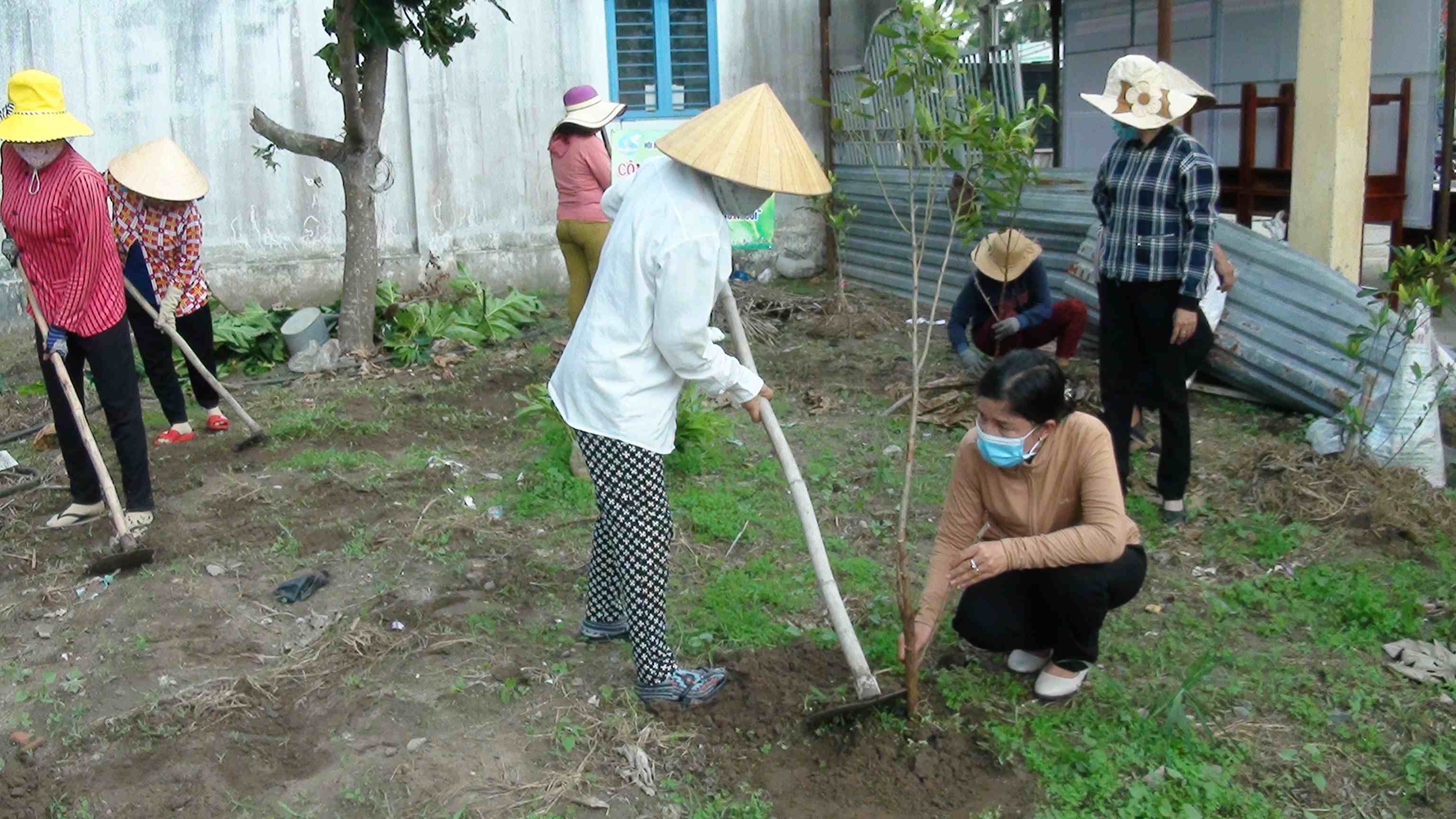Phụ nữ Thị trấn Dương Minh Châu phát động “Trồng cây nhớ Bác”