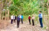 HĐND huyện Dương Minh Châu khảo sát tình hình quản lý, bảo vệ và chăm sóc rừng trên địa bàn huyện